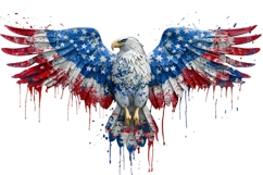 Eagle Clipart 4th of July PNG Product Image 1