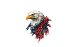 American Eagle Patriotic 4th of July PNG Product Image 1