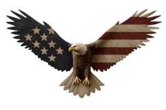 Eagle Flag Patriotic 4th of July PNG Product Image 1