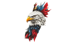 Eagle Patriotic 4th of July PNG Bundle Product Image 5