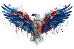 American Eagle Patriotic Flag 4 July Bundle Product Image 5
