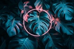 Round Frame in Neon Fluorescent Light Product Image 1