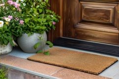 Welcome Door Mat Mockup DoorMat Product Image 1