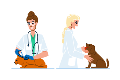 pet veterinarian woman vector Product Image 1