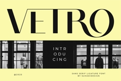 Vetro - Modern Ligature Font Product Image 1