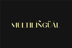 Vetro - Modern Ligature Font Product Image 13