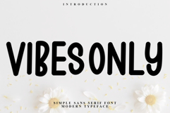 Vibes Only Product Image 1