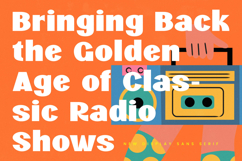 Vibes Radio - New Display Sans Serif Product Image 3