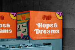 Vibes Radio - New Display Sans Serif Product Image 9