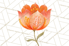 Enchanted Folk Art Florals Clipart, Stylized Flowers Png Product Image 2