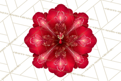 Enchanted Folk Art Florals Clipart, Stylized Flowers Png Product Image 5