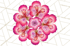 Enchanted Folk Art Florals Clipart, Stylized Flowers Png Product Image 3