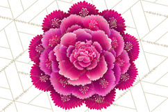 Enchanted Folk Art Florals Clipart, Stylized Flowers Png Product Image 5