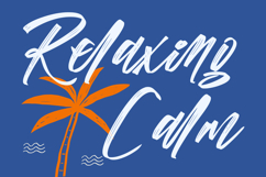 Vichellen Jordan - Modern Brush Font Product Image 7