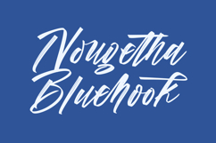 Vichellen Jordan - Modern Brush Font Product Image 13