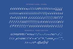 Vichellen Jordan - Modern Brush Font Product Image 17