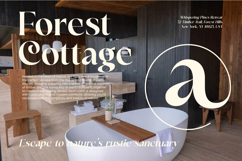 Victoria Culture - Modern Classy Serif Product Image 5