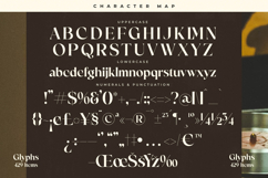 Victoria Culture - Modern Classy Serif Product Image 18