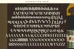 Victoria Culture - Modern Classy Serif Product Image 19