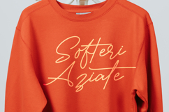 Victoria Montera - Monoline Signature Font Product Image 8