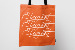 Victoria Montera - Monoline Signature Font Product Image 13