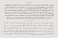Victoria Montera - Monoline Signature Font Product Image 19