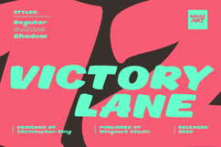 Victory Lane A Brush Font for Race Car Livery and Signage  Product Image 1