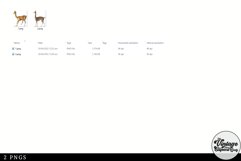 Vicuna Vintage Animal illustration Clip Art, Clipart Product Image 3