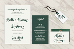 Delicate Bloom Script Product Image 5