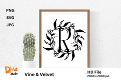Vine &amp; Velvet Product Image 1