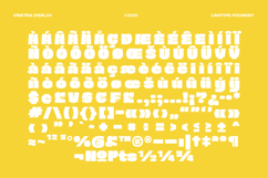 Vinetra - Bold Font Product Image 11
