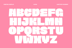 Vinetra - Bold Font Product Image 6