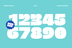 Vinetra - Bold Font Product Image 8