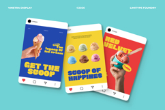 Vinetra - Bold Font Product Image 9