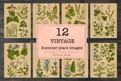 Vintage spring floral backgrounds Product Image 1