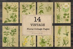 Vintage field plants Product Image 1