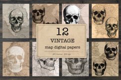 Vintage skull digital paper Product Image 1