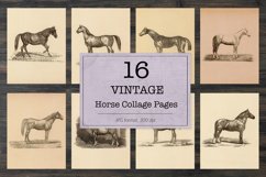 Vintage horse illustrations Product Image 1