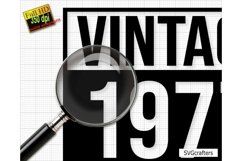 Vintage 1973 Svg Png, 50th birthday svg, 50 and fabulous svg Product Image 2