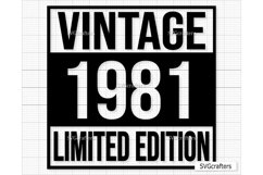 Vintage 1981 Svg Png, 42nd birthday svg, 42 and fabulous svg Product Image 1