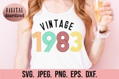 Vintage Birthday SVG 1963 1973 1983 1993 Retro Bundle 30 40 Product Image 11