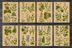 Vintage spring floral backgrounds Product Image 2