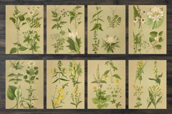 Vintage field plants Product Image 2
