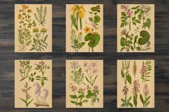 Vintage spring flowers and plants Product Image 3
