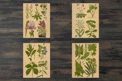 Vintage spring floral backgrounds Product Image 3