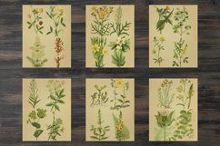 Vintage field plants Product Image 3