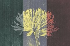 Vintage Album Photo Effects Product Image 6