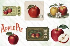 Vintage Apple Sublimation Bundle Product Image 3