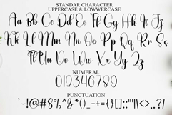 Vintage Barbie Product Image 7