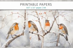 Vintage Bird Junk Journal, robin bird Product Image 1